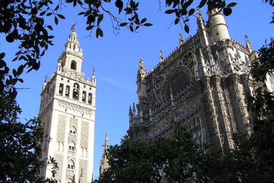 Private Tour: Seville City Tour (Cathedral, Royal Alcázar and Santa Cruz)