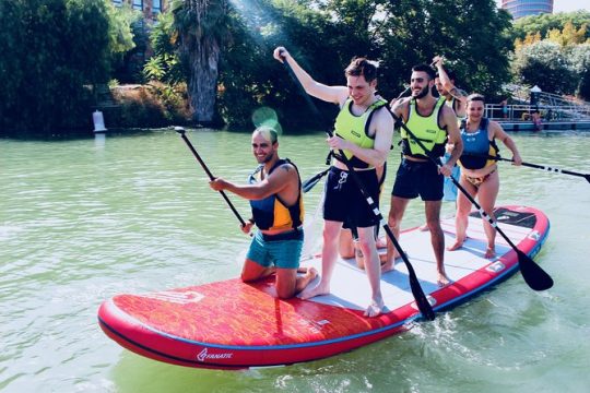 Seville: Paddle Surf on an XXL Board