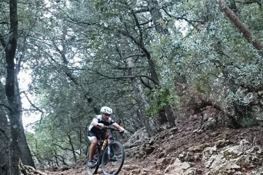 MTB guided tour in Bellver forest and Na Burguesa m.(E-MTB avai.)
