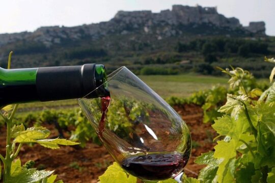 Provence Private Full Day Wine Tour with Wine Tasting