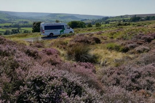 Private Tour: North Yorkshire Moor and Whitby from York in 16 Seater Minibus