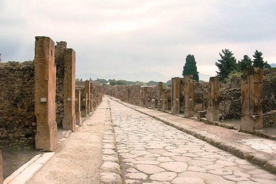 Tour a Pompei da Roma