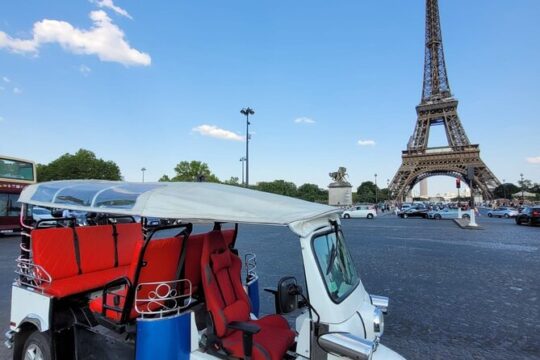 Paris by TukTuk: 2-Hour Private Tour