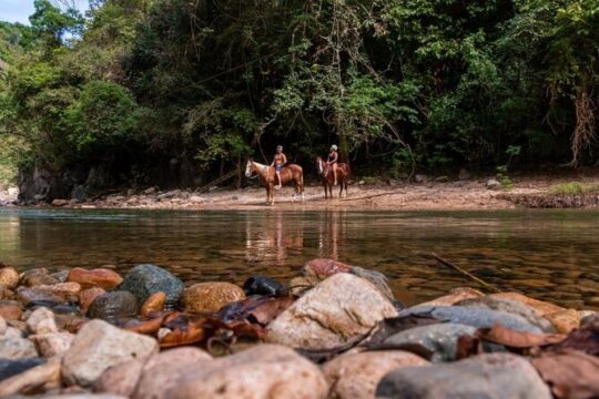 Horse Tour