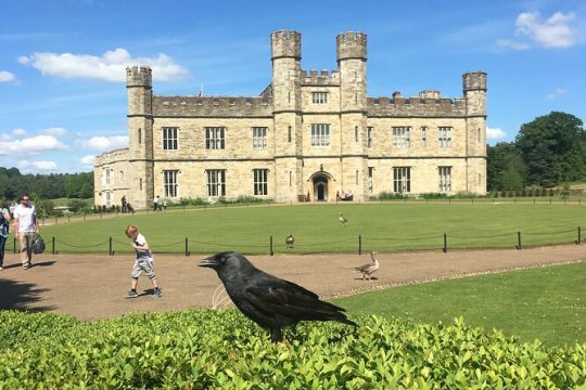 Leeds Castle Private Tour From London With Admission Tickets
