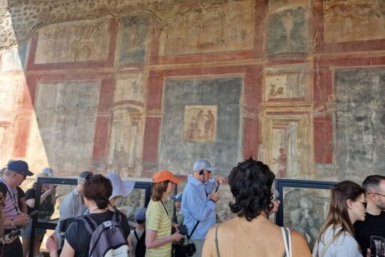 Pompeii, Herculaneum and Sorrento Private Day Tour from Rome