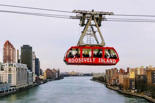 Self-Guided Tour of Roosevelt Island's Tramway to FDR State Park
