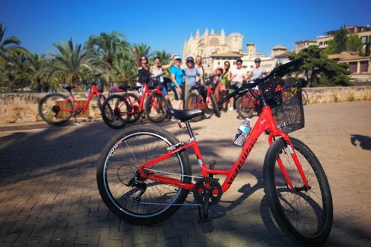 Palma de Mallorca Shore Excursion: Bike Tour with Cathedral and Parc de la Mar