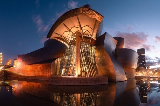 Bilbao & Guggenheim Museum Private Walking Tour with guide