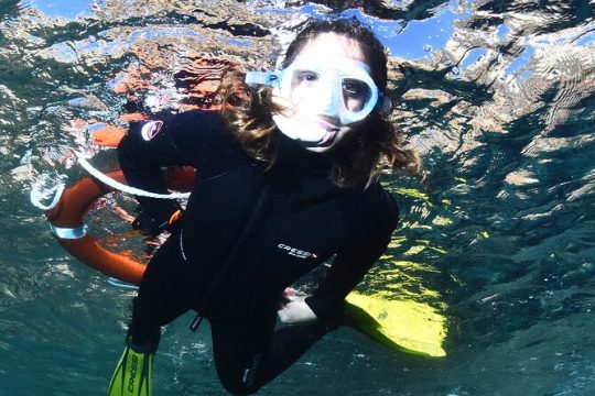 L'Estartit: Snorkeling in the Medes Islands