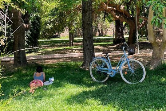 Three parks of Valencia Private Bike Tour