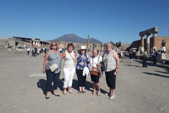 Pompeii SkipTheLine Tickets with Lunch&WineTasting Fullday from Rome