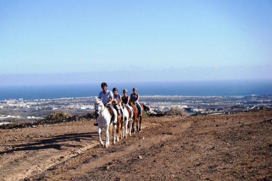 The Best Horse Riding Experience in Gran Canaria (2 hours)