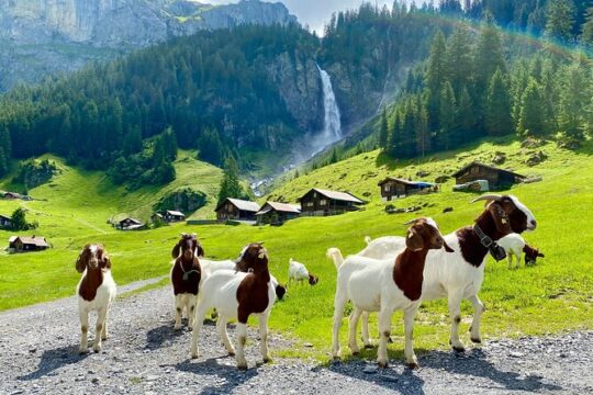 Private tour to the most breathtaking insider spots in Switzerland (1 day)