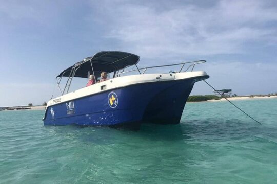 Small Day Cruise (Ilet caret, mangrove, coral reef