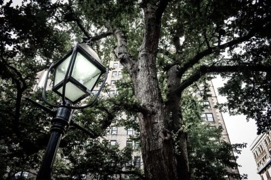 The Greenwich Village Ghost Tour in New York City