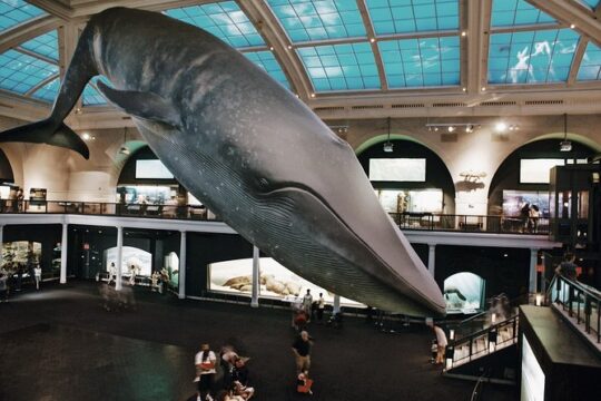 American Museum of Natural History - Exclusive Guided Tour