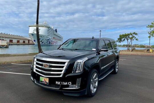 Honolulu Harbor Cruise Terminal Transfer by Luxury Vehicle