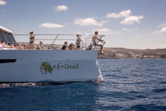 Afrikat Afternoon Cruise