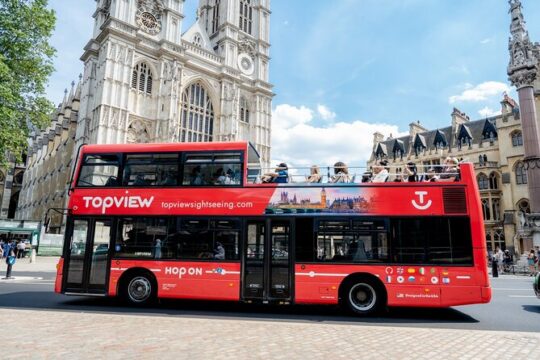 24 Hour Hop-on Hop-off bus tour with River Cruise & Walking Tours