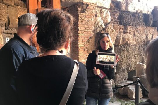 Undergrounds Areas Colosseum and Roman Forum Small Group Tour