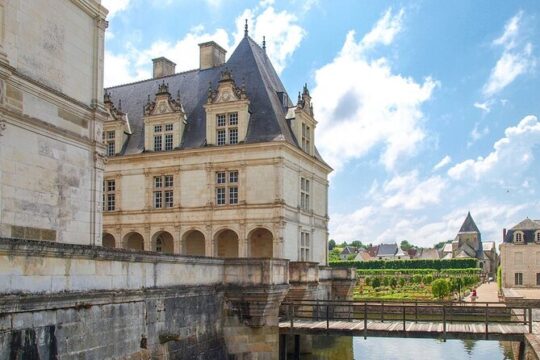 Loire Castles Day Trip and Wine Tasting Private trip from Paris