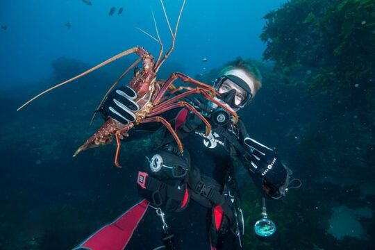 Rottnest Island Deep Dive Day Trips