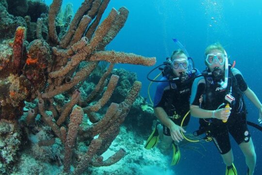 Certified Scuba Diving in Curacao