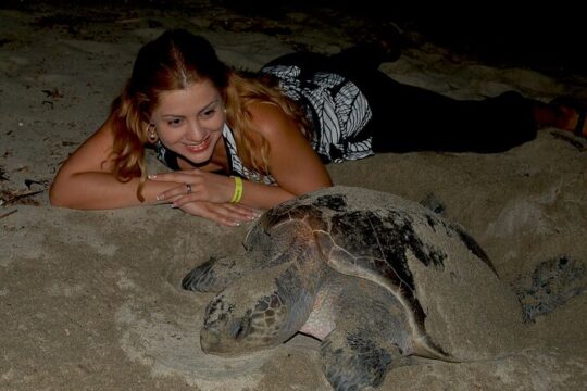 Turtle Camp Puerto Vallarta, baby releasing & females laying eggs