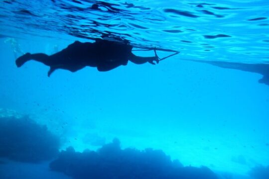 Blue Room and Beach Tour Curacao by Speedboat