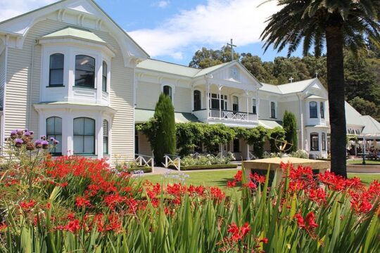 Small Group - Napier Wine Experience Tour - 5.5 - 6 hours