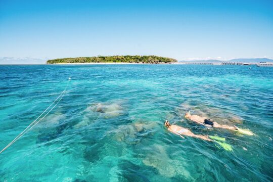 Snorkelling or Glass Bottom Boat at Green Island from Cairns