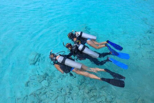 PADI Discover Scuba Dive at Coral Divers Curacao