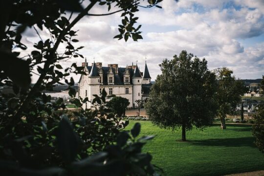 Amboise Alcove: 2 Hours Exclusive Private Guided Walking Tour