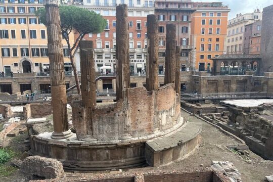 Ancient Rome: Archaeological area Largo Argentina Ticket