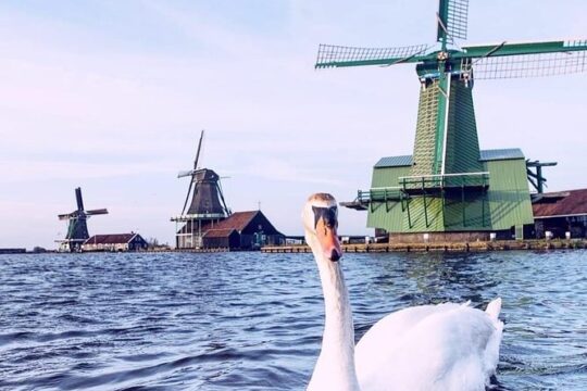 Amsterdam Countryside, Windmills & Fishing Villages - Private Day Tour