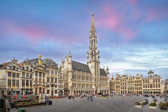 Captivating Brussels Walking Tour: Highlights & Hidden Gems