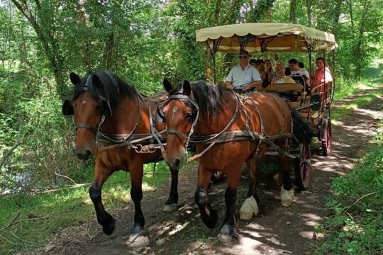 Commented and gourmet carriage ride in Villandry