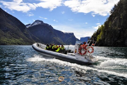 Private guided day tour - RIB Sognefjord Safari and Flåm Railway