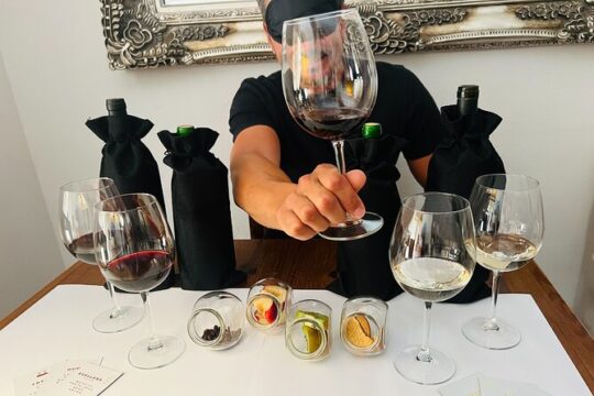 Sensory Tasting to Discover Wine with the 5 Senses
