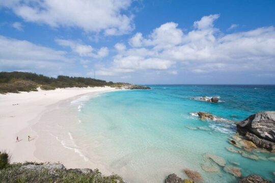 4 Hour Shared Pink Beach Excursion in Bermuda