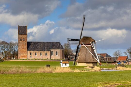 Frisian Culture and Heritage Tulip Fields Tours