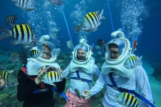 Curacao Guided Underwater Walking Tour No swimming skills needed