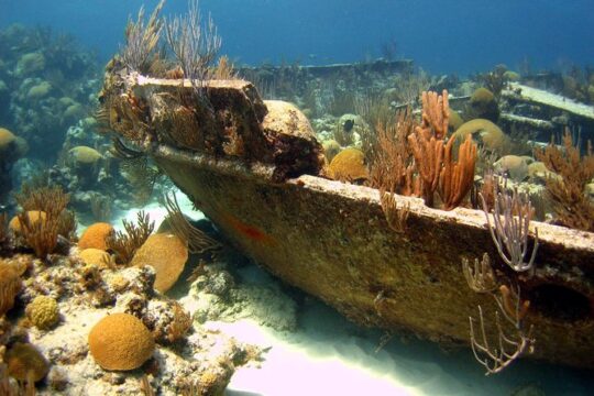 Shipwreck Snorkel in Bermuda