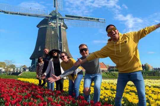 Tulip Field with a Dutch Windmill Guided day Tour from Amsterdam