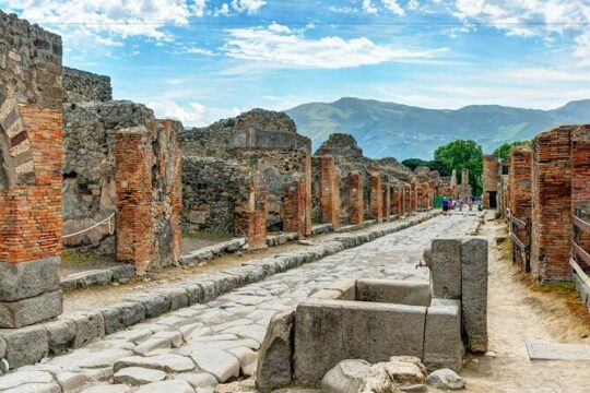 8 Hour Day Tour to Pompeii and Sorrento from Rome