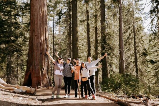 Yosemite National Park & Giant Sequoias 2-Day Semi-Guided Tour