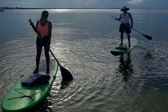 Key Largo 1 Hour Kayak or Paddle Board Rental