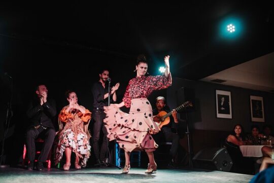 Seville: Tapas & Wine Small Group Tour with Flamenco Show