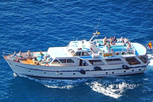 3 Hours Boat Excursion for whale watching in La Gomera